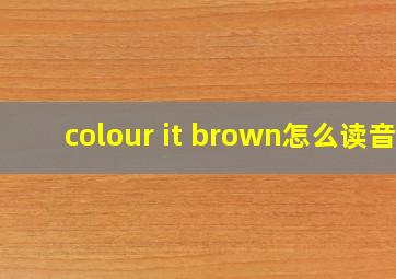 colour it brown怎么读音